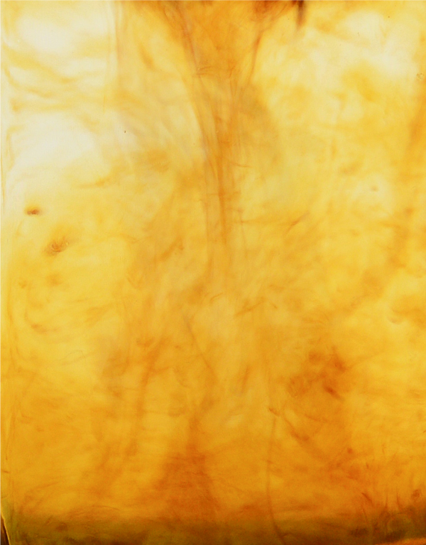 Amber Hand & Body Wash