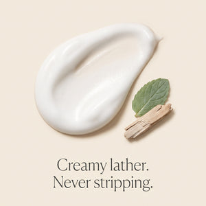Creamy lather texture of nuréo Cedar Hand & Body Wash, never stripping