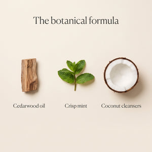 The botanical formula: cedarwood oil, crisp mint, coconut-derived cleansers