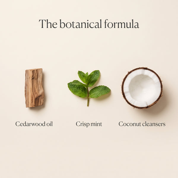 The botanical formula: cedarwood oil, crisp mint, coconut-derived cleansers