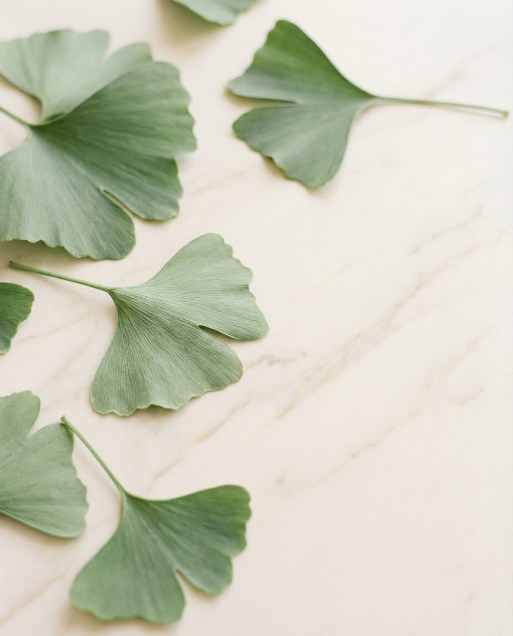 Antioxidant Ginkgo Gel Booster - Nuréo
