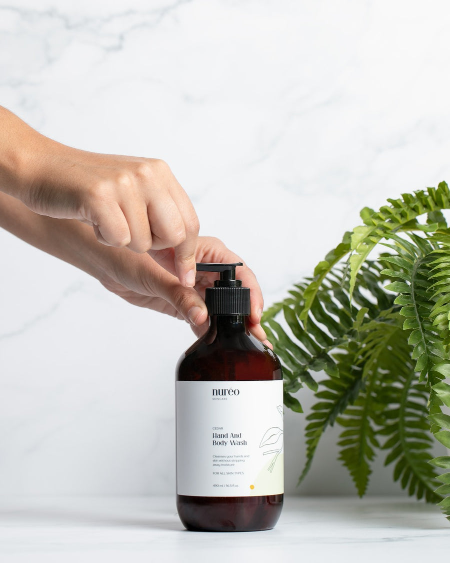Cedar Hand & Body Wash pump beside a fern