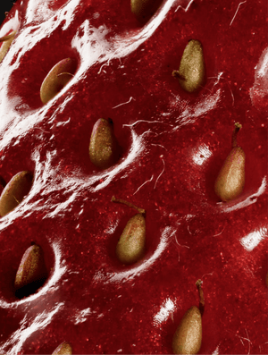 Peptide Anti - Aging Serum - Nuréo