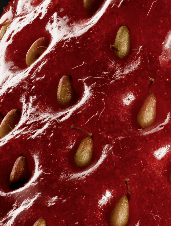 Peptide Anti - Aging Serum - Nuréo