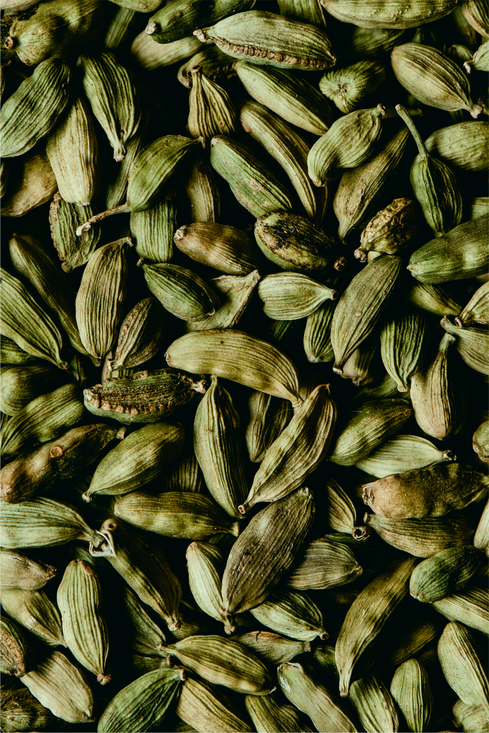 Cardamom Hand & Body Wash