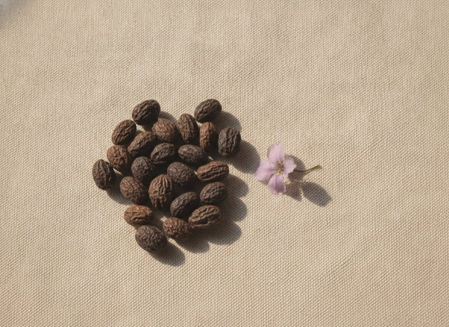 Bakuchiol botanical